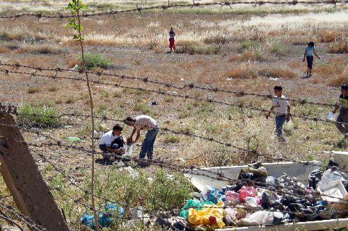 Burası Türkiye Suriye sınırında nasıl temizleneceği tartışılmaya devam eden mayınlı bölge. Nusaybinli çocuklar bir kaç kuruş kazanmak için canları pahasına araziden kember otu topluyor