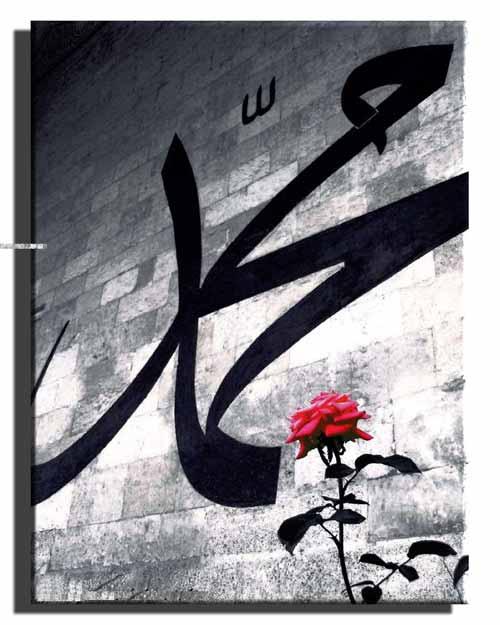 <b>SAHİBU'L KADÎB</b><BR>Kadîb, sözlükte ağaç dalı manasına gelmektedir. Bu isim İncil'de şu şekilde geçmekte ve açıklanmaktadır: Onun yanında demirden bir kadîb vardır ki, onunla savaşır. Ümmeti de böyledir. Yani netice olarak burada kılıç kastedilmektedir.
Ve yine hidayete vesile olması açısından Efendimiz'in savaş etmesine izin verildiğini anlatmaktadır.
Bu isim semâvî kitaplarda da geçmektedir.