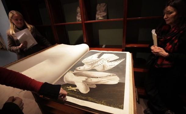 Londra'da düzenlenen müzayedede, John James Audubon'un 4 ciltten oluşan "The Birds of America" (Amerika'nın Kuşları) isimli kitabının bir nüshası, açık arttırma sonucu 6,5 miyon pounda (yaklaşık 18 milyon TL) satıldı.