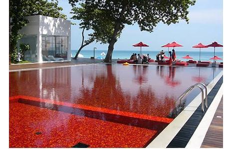 <p>6. Kan Kırmızısı Yüzme Havuzu Koh Samui adsının ünlü Chaweng Sahili otellerle kaplıdır. Ancak hiçbir otel böylesine bir yüzme havuzuna sahip değildir.</p>