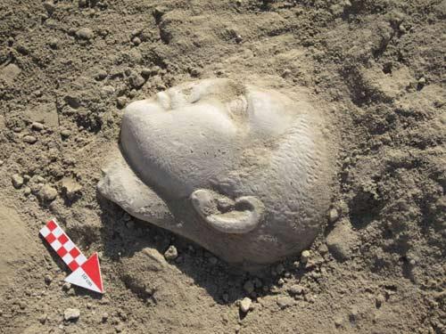 Pamukkale Üniversitesi (PAÜ) Fen Edebiyat Fakültesi Dekanı ve Laodikya Kazı Heyeti Başkanı Prof. Dr. Şimşek, AA muhabirine yaptığı açıklamada, Laodikya'da yılın 12 ayı kazı çalışmalarını sürdürdüklerini belirterek, 2010 yılı kazı çalışmalarının da kesintisiz olarak devam etmekte olduğunu bildirdi.
<br>
2010 yılında Tapınak A, Asopos Tepesi, Stadyum, Tapınak Doğu Sokağı ve 2 kilisede kazı çalışmalarının yapıldığını ifade eden Şimşek, kazıların en büyük finans kaynağının Denizli Belediyesi, Kültür ve Turizm Bakanlığı ile Pamukkale Üniversitesi olduğuna işaret etti.
<br>
Laodikya'da 8 yıldır devam eden kazı ve restorasyon çalışmalarıyla antik kentte birçok alanın ortaya çıkarıldığını ve gezilip görülen ören yerleri içine girdiğini ifade eden Şimşek, ''Tapınak A'da kanalizasyon kazısında asker imparator Gordianus III'e ait olduğu düşünülen çok kaliteli bir mermer baş ele geçti. Bu baş Laodikya heykel atölyesinin kaliteli ürünleri arasında yer alıyor ve Aphrodisiasla yarışacak nitelikte'' diye konuştu.