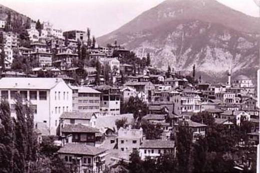 <p>Artvin</p>
