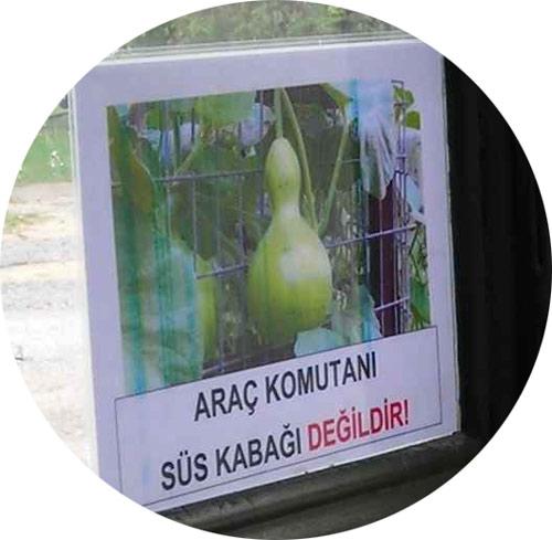 Tuğgeneral Orhan Çınar, birliğindeki askeri araçların ön camlarının kenarına süs kabağı fotoğrafıyla birlikte 'Araç komutanı süs kabağı değildir' yazısı asma talimatı verdiği iddia edildi.