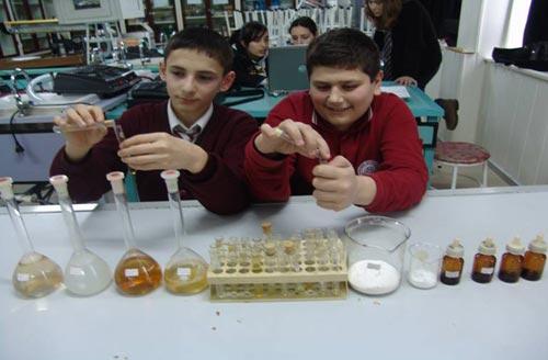 Doğal Esans Yağları