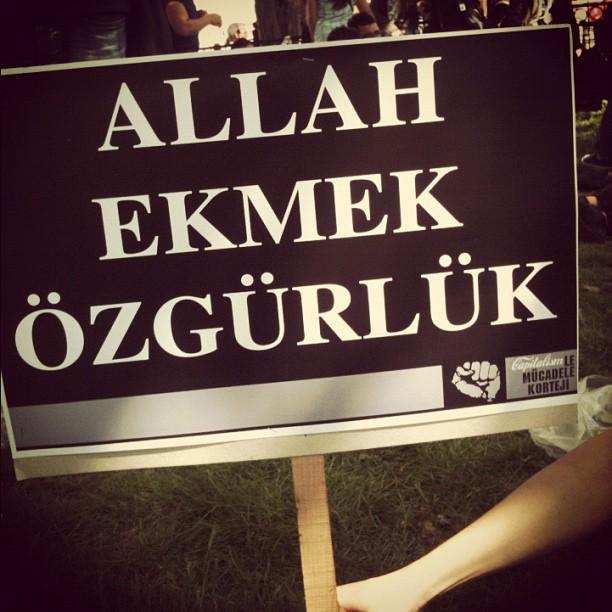 Fotoğraf: Orkut Murat Yılmaz twitter.com/@orkutmurat