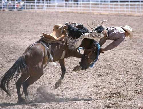 Rodeo esnasında yaşanan tehlikeli anlar...