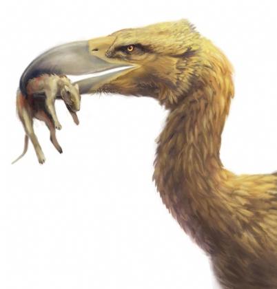 Phorusrhacids