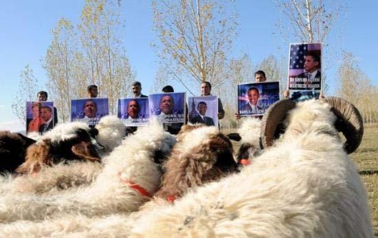 Vanın Gürpınar İlçesi Çavuştepe Köyü sakinleri ABD'nin 44'üncü Başkanı seçilen Barack Obama için 44 kurban kesip, davul zurna eşliğinde halaylar çekti.