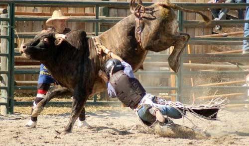 Rodeo esnasında yaşanan tehlikeli anlar...