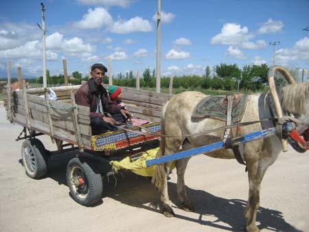Çelik jantlı at arabası