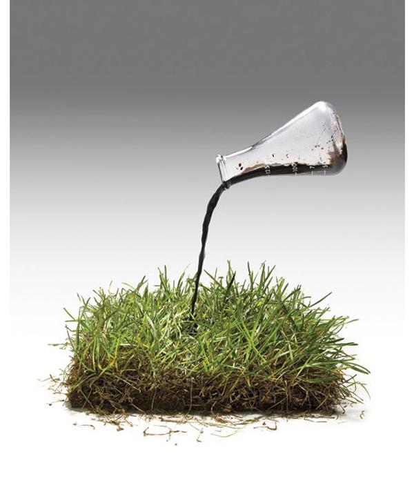 <p><strong>Toprağı temizleyen arıtıcı besin</strong></p>
Dünya genelindeki çiftçiler her yıl 180 milyon tonun üzerinde azot gübre kullanıyor. Bunların birçoğu su kaynaklarına ve okyanusa akarak, sudaki yaşamı öldüren yosunların büyümesine neden oluyor. Forage Boost olarak isimlendirilen toprak arıtıcı besinin içindeki otuzu aşkın mikroptan oluşan karışım, dünya üzerindeki sekiz milyar dönümlük otlaklık alanda kullanılan tüm diğer gübreleri de temizleyebilir. Forage Boost, aşrı azot kullanımı yüzünden toprakta kaybolan doğal bakterilerin yerini alarak, standart gübrelere kıyasla ot verimini yaklaşık olarak yüzde yirmi oranında arttırmakta. Ayrıca mikroplar toprakta mikro kanallar açarak suyun yarı yarıya daha az akmasına yol açar ki bu da daha az sulamayı gerektirir.