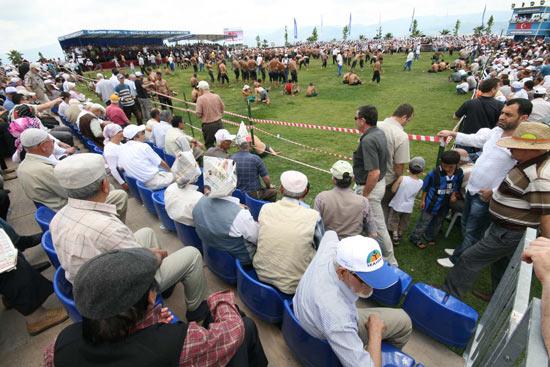 Kocaeli Büyükşehir Belediyesinin ilkini düzenlediği Sekapark Altın Kemer Yağlı Güreşlerinde 58i başpehlivan 567 pehlivan altın kemer için yarıştı.
