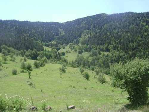 Artvin'den manzaralar