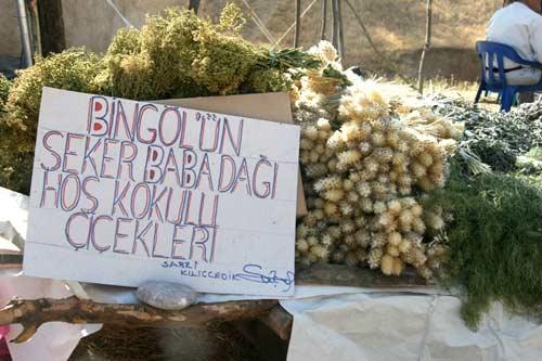 Bingöl - Karer Kültür Festivali bu sene ikinci kez gerçekleştirilecek. Bildik, tanıdık festivallerden oldukça farklı bir doğa ortamında yapılıyor bu festival...