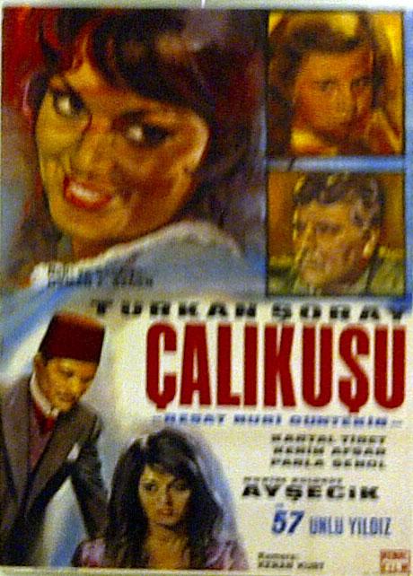 Çalıkuşu filmi