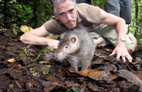Okyanusya'daki Papua Yeni Gine'nin dağlık arazisinde, ağaçlarda yaşayan kanguru ve kedi büyüklüğünde farelerin yaşadığı, insan eli değmemiş bir bölge keşfedildi. Yeni canlıların kareleri: