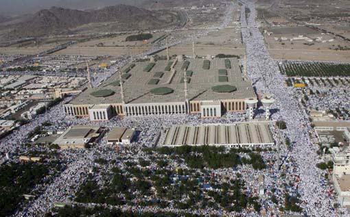 Arafat'ta insan seli