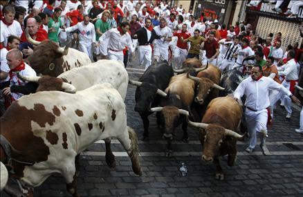 İspanya'da San Fermin festivalinde yine insanlar şenlik yaptığına inandı ama ortaya çıkan manzalar aslında kimin bayram ettiğini gösterir nitelikte.