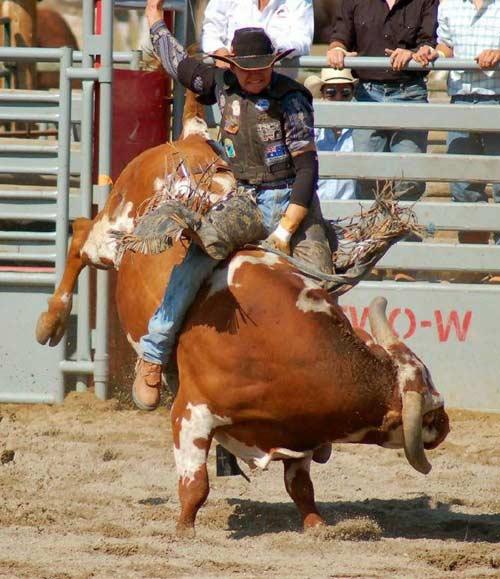 Rodeo esnasında yaşanan tehlikeli anlar...