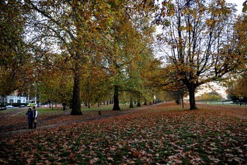 Hyde Park Londra'nın merkezinde halka açık, her sabah 05.00'ten gece yarısına kadar gezilebilecek dünyanın en büyük parklarından. Sadece gezmek, dinlenmek ve koşmak isteyenlerin hoş vakit geçirdiği bir yer değil ünlü kraliyet parkı aynı zamanda konserler başta olmak üzere pek çoketkinliğe de evsahipliği yapıyor. 
<br><br>
Parkın kuzey doğusunda  bulunan (Konuşmacılar köşesi) Speakers Corner düşüncelerini özgürce söylemek ve tartışmaya açmak isteyenlerin buluşma yeri.
<br><br>
Parkın yanıbaşında Kensington Bahçeleri var.  Serpentine gölü parkın en güzel köşelerinden...
<br><br>
Dünyada ünlü Londra'nın simge isimlerinden Hyde Park'ta sonbahar bugünlerde tüm ihtişamıyla kendisini hissettiriyor. Ağaçların sararan yapraklarının döküldüğü parka gelen yerli ve yabancılar, sarı ve kahverengi tonların hakim olduğu sanat tablosunun içinde spor yapma ve eğlenmenin tadını çıkartıyorlar.
<br><br>
İnsanlara iyice alışmış park sakinlerinden sevimli sincaplar ise her zaman olduğu gibi yine insanların elinden yiyecek alabilmeye çabalıyor hatta alabilmek için üstlerdine dahi tırmanıyorlar.
<br><br>
Güvercinler ise her zamanki gibi nasılsa yemsiz kalmayız diyen vakar ve tokgözlülük içersinde... 
<br><br>
İşte AA muhabirinin objektifinden yansıyan Hyde Park'tan sonbahar manzaraları...
<br>
(haber 7)