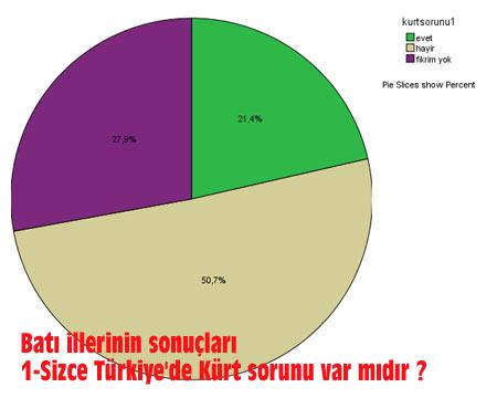 Kürt Sorunu anketi