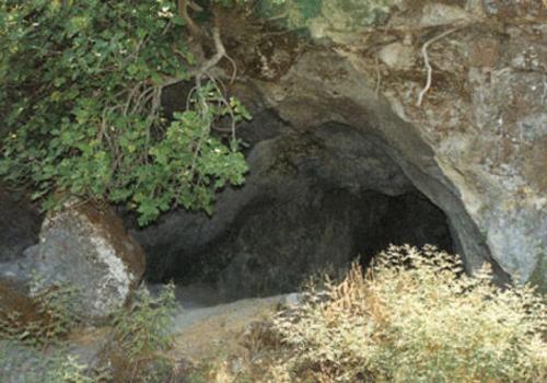 <div class="galler_spot">Ayı inlerinin girişleri herzaman kuzeye bakar.</div>
<div> </div>
<div id="pagination" class="cboth fright"> </div>