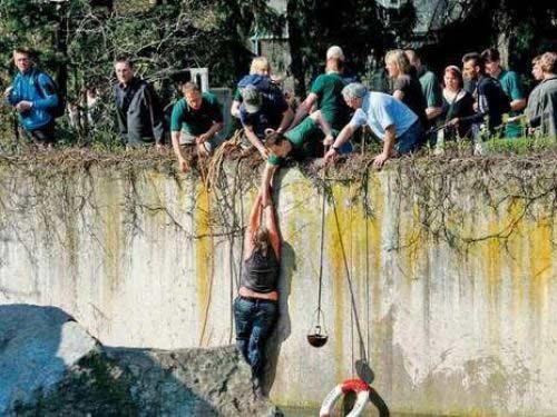 Hayvanat bahçesinde boz ayıların fotoğrafını çekmeye çalışan kadın ayıların içinde bulunduğu havuza düştü. Talihsiz kadın güçlükle kurtarılırken korku dolu anlar objektiflere böyle yansıdı: