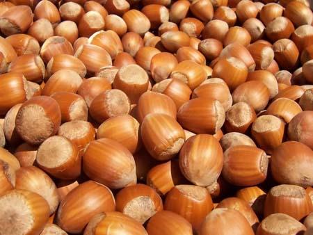 FINDIK: Omega 3 kaynağı olarak kalp ve damar dostu bir besindir. İçinde bulunan Omega 3 kan pıhtılaşmasını ve damar sertliğini önler; tansiyonu düşürür, şeker hastalarında kalp hastalığı riskini azaltır. E vitamini bakımından zengin olması nedeniyle antioksidan ve yaşlılık engelleyici bir gıdadır, adet döneminde kan şekeri düşüklüğüne faydalıdır. İçerdiği E vitamini şeker hastalığının gelişimini engeller; kalp, damar, beyin ve sinir fonksiyonlarını düzenler, yaraların iyileşmesine faydalı olur, prostat kanserinden korur. Fındıkta bulunan B5 vitamini stresi giderici özelliği olan bir vitamindir. İçerdiği B6 vitamini bağışıklık sistemini güçlü tutmaya yarar, kan şekeri düşüklüğüne faydalıdır. Gebelikte mutlaka takviyesi gereken B9 vitamini içerir. B9 vitamini damar sertliği yapıcı maddeyi azalttığı gibi kalp krizi, felç ve bunama riskini de azaltır. İçerdiği D vitamini kırmızı kan hücrelerinin yapımında rol alır, cilt yaralarının iyileşmesini hızlandırır. İçerdiği krom, kan şekerindeki oynamaları engellemek için gereklidir.