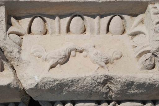 Denizli'nin meşhur horozunun antik çağlardan bu yana yaşadığı, yöredeki birçok medeniyete tanıklık ettiği ortaya çıktı.