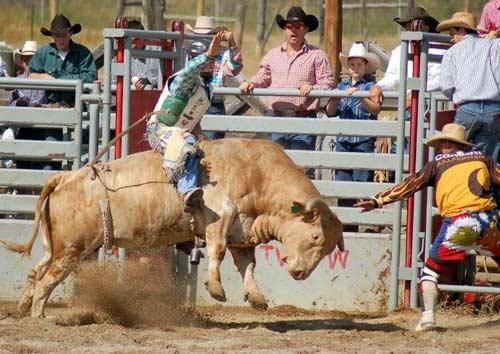 Rodeo esnasında yaşanan tehlikeli anlar...