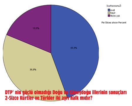 Kürt Sorunu anketi