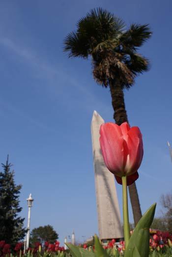 Dikilitaş
