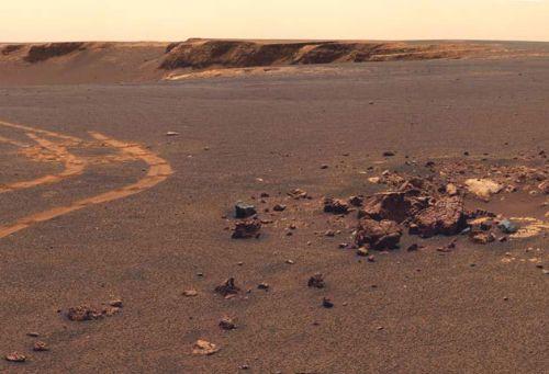 Mars'ta tahta bulundu asparagası!