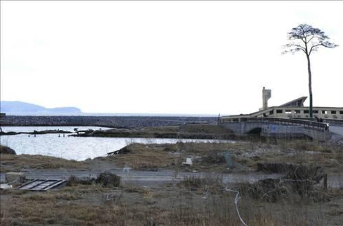 15 Ocak 2012'de çekilen fotoğrafın aynı yere ait olduğunun etkileyici bir kanıtı.