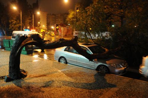 Gece zaman zaman etkili olan şiddetli rüzgar nedeniyle yol kenarındaki ağaç, Yakup Ercan (50) isimli vatandaşın 35 HHL 68 plakalı otomobilinin üzerine yıkıldı. Otomobilde maddi hasar meydana gelirken yol trafiğe kapandı. Bornova trafik ekipleri ikinci bir kazanın yaşanmaması için yola duba koyarak önlem aldı.