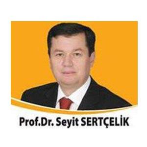 Seyit Serçelik: Ankara ikinci bölge dokuzuncu sırada yer alan Profesör Sertçelik milliyetçi bir akademisyen. Özellikle Ermeni Soykırımına karşı Türk tezlerini savunan çalışmalarıyla dikkat çekiyor.