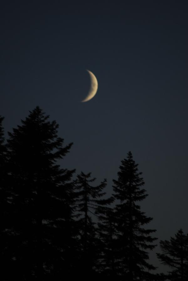 Ay dünyaya en yakın geçişini yaptı