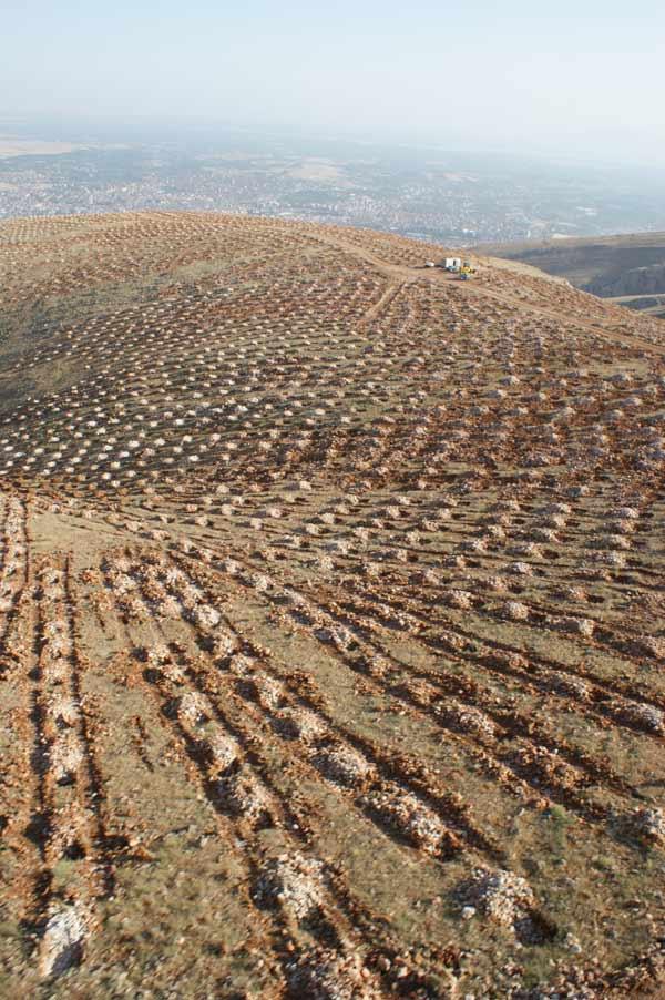 Bey Dağı ağaçlandırma projesi kapsamında bölgeye 5 milyona yakın fidan dikimi yapıldı. Bizzat ağaçlandırma yapılan alana giderek yapılan çalışmaları fotoğrafladık.