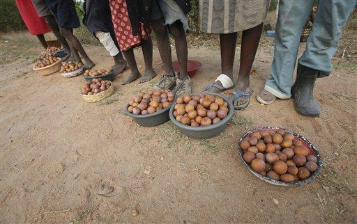 Zimbabve'de yaşam savaşı