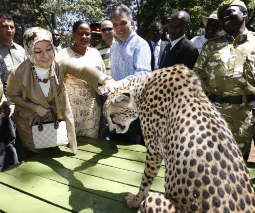Cumhurbaşkanı Abdullah Gül, eşi Hayrünnisa Gül, Devlet Bakanı Said Yazıcıoğlu, Ulaştırma Bakanı Binali Yıldırım ve heyettekilerle Nairobi Ulusal Parkı'n çitaların bulunduğu kafese girdi ve çita sevdi...