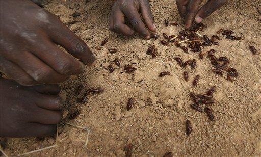 Zimbabve'de yaşam savaşı