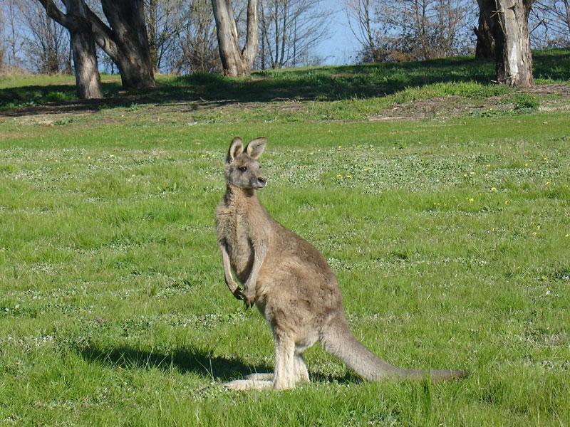 &Ccedil;ek &ccedil;ekebildiğin kadar.