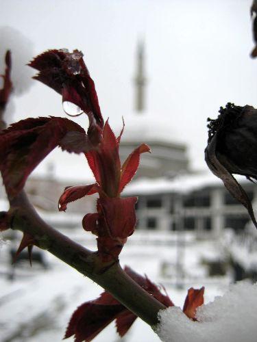 Baharın müjdecisi olarak bilinen Nevruz, Kosova'da karla karşılandı. Son on yılın en soğuk günlerini yaşayan Kosova kış mevsimini karlarla geçirdi.