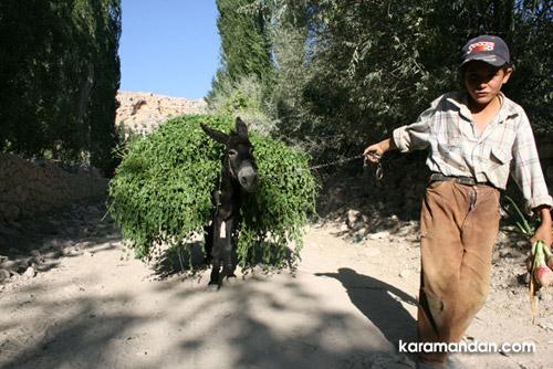 Karaman'dan görüntüler