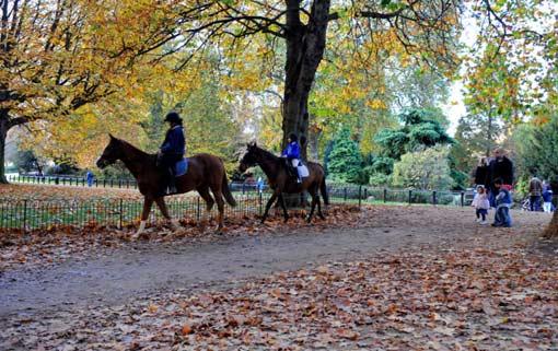 Hyde Park Londra'nın merkezinde halka açık, her sabah 05.00'ten gece yarısına kadar gezilebilecek dünyanın en büyük parklarından. Sadece gezmek, dinlenmek ve koşmak isteyenlerin hoş vakit geçirdiği bir yer değil ünlü kraliyet parkı aynı zamanda konserler başta olmak üzere pek çoketkinliğe de evsahipliği yapıyor.
<br><br>
Parkın kuzey doğusunda bulunan (Konuşmacılar köşesi) Speakers Corner düşüncelerini özgürce söylemek ve tartışmaya açmak isteyenlerin buluşma yeri.
<br><br>
Parkın yanıbaşında Kensington Bahçeleri var. Serpentine gölü parkın en güzel köşelerinden...
<br><br>
Dünyada ünlü Londra'nın simge isimlerinden Hyde Park'ta sonbahar bugünlerde tüm ihtişamıyla kendisini hissettiriyor. Ağaçların sararan yapraklarının döküldüğü parka gelen yerli ve yabancılar, sarı ve kahverengi tonların hakim olduğu sanat tablosunun içinde spor yapma ve eğlenmenin tadını çıkartıyorlar.
<br><br>
İnsanlara iyice alışmış park sakinlerinden sevimli sincaplar ise her zaman olduğu gibi yine insanların elinden yiyecek alabilmeye çabalıyor hatta alabilmek için üstlerdine dahi tırmanıyorlar.
<br><br>
Güvercinler ise her zamanki gibi nasılsa yemsiz kalmayız diyen vakar ve tokgözlülük içersinde...
<br><br>
İşte AA muhabirinin objektifinden yansıyan Hyde Park'tan sonbahar manzaraları...
<br>
(haber 7)