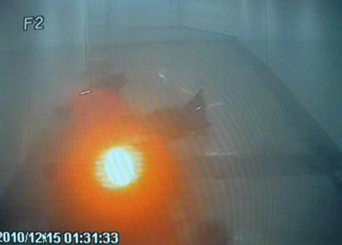 Adana'da, iki polis memurunun hayatını kaybettiği metro istasyonundaki trafik kazasının güvenlik kamerası tarafından saniye saniye görüntülendiği ortaya çıktı.