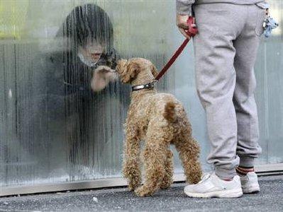 Japonya'da sızan radyasyondan etkilenenler tecrit ediliyor. Nihonmatsu'da radyasyona maruz kalan bir genç özel bölümün arkasında annesiyle ve köpeğiyle vedalaştı. Göz yaşartan ayrılık dünyaya böyle yansıdı.
