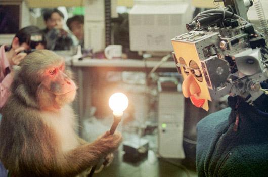 <strong>14. Bir maymunun arkadaşı olmak...</strong><br><br>
1997 -> Robot tarihinde 2000 yılı öncesinde, humanoid (insanımsı) robotlar arasında Japonya'daki Waseda Üniversitesi'nde geliştirilen Hadaly 2'nin sözü geçiyordu. Her ne kadar bir bilgisayara bağlı olarak çalışabilse de fotoğrafta da görebileceğiniz gibi 10 yaşındaki bu maymunla oldukça iyi anlaşabiliyordu.