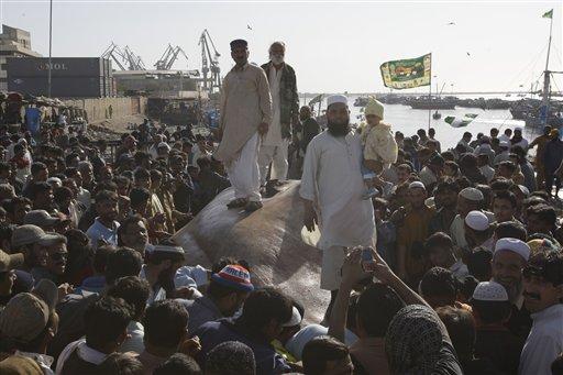 Balığı hayranlıkla seyreden Pakistanlılar onunla bol bol hatıra fotoğrafı çektirmeyi de ihmal etmediler...