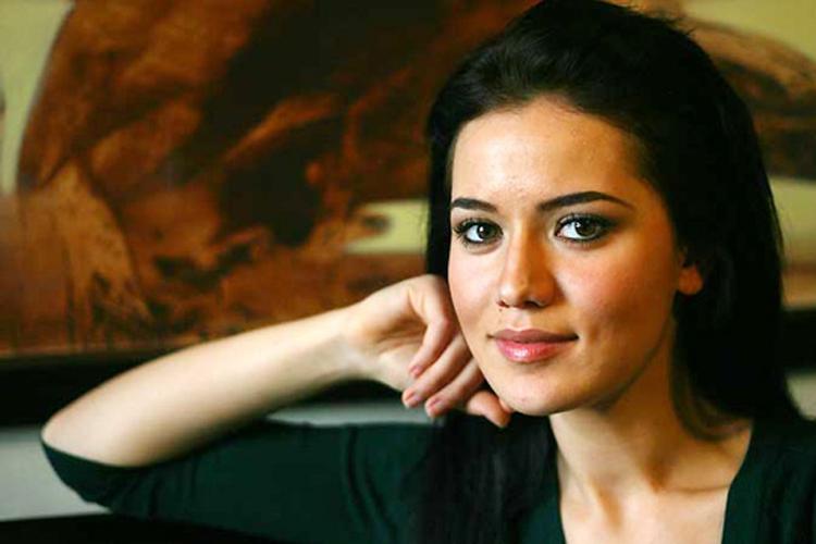 Dizi oyuncusu Fahriye Evcen'e bir internet sitesinde hakaret edilmesi ile gazeteci Uğur Dündar'ın elektronik posta adresine hakaret içerikli mesajlar gönderilmesine ilişkin faillerin yakalanması çalışmaları da sürdürülüyor.